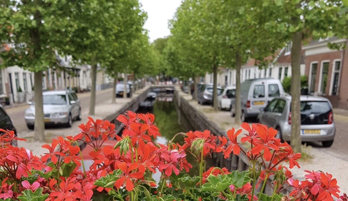 4a4d0750-9511-41b1-b8a5-3fd165b993f2 2